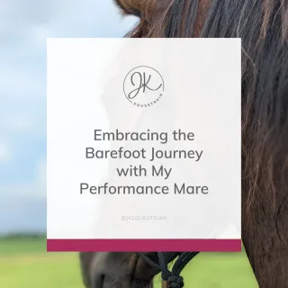 Embracing the Barefoot Journey with My Performance Mare: A Path to Holistic Horse Care 🐎🌿