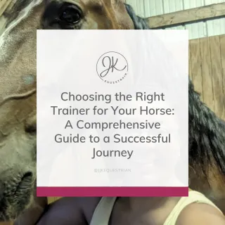 Choosing the Right Trainer for Your Horse: A Comprehensive Guide to a Successful Journey