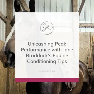 Equine Conditioning: Insights from Jane Braddock's Q&A