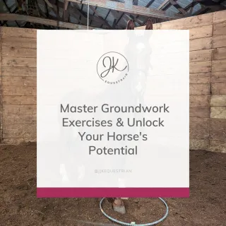 Horse Groundwork The Ultimate Guide: Techniques, Training, and Free Checklist