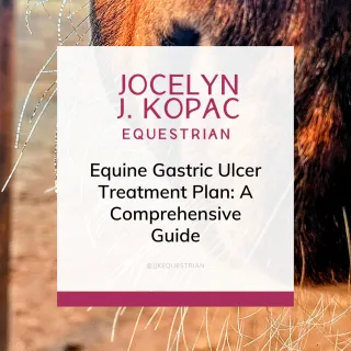 Equine Gastric Ulcer Treatment Plan: A Comprehensive Guide to Relief and Prevention