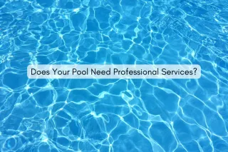 Does Your Pool Need Professional Services?
