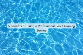 5 Benefits of Hiring a Professional Pool Cleaning Service