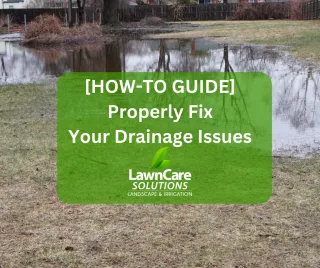 How to Property Install Drainage In Your Yard