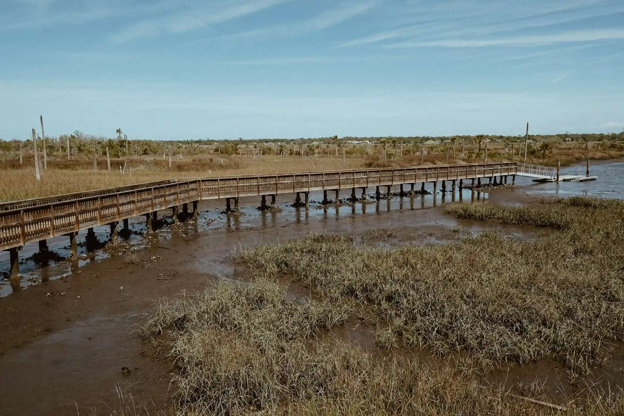 🌿 Hidden in Plain Sight: Castaway Island Boardwalk Is Jacksonville’s Secret Nature Getaway