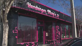 Burgers, Drag & Sass—Hamburger Mary’s Jax Serves Up Flavor and Fabulous All Night Long