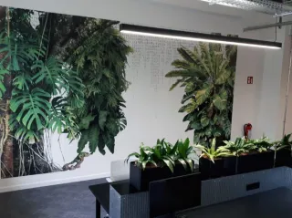 The New Language of Walls — How Environmental Graphics Are Re-Shaping NYC’s Workplaces
