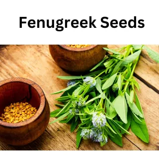 Fenugreek Extract Supplements on Testosterone Levels in Men
