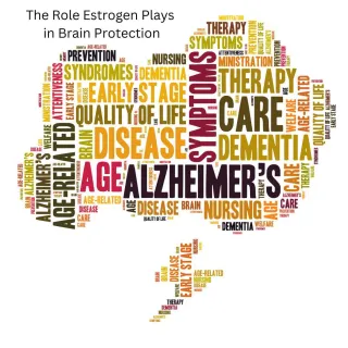 Alzheimer's, the role Estrogen plays in brain protection