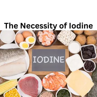 The Necessity of Iodine for Optimal Health