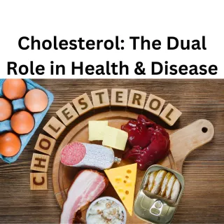 Cholesterol: The Dual Role in Health and Disease
