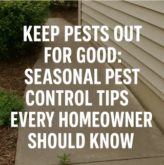 Keep Pests Out for Good: Seasonal Pest Control Tips Every Homeowner Should Know