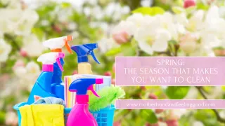 Spring: The Season That Makes You Want to Clean
