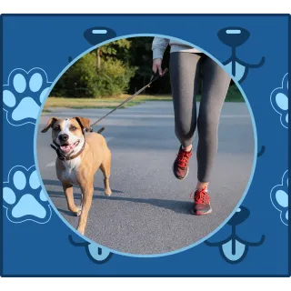 Top 10 Dog-Friendly Activities in SWLA