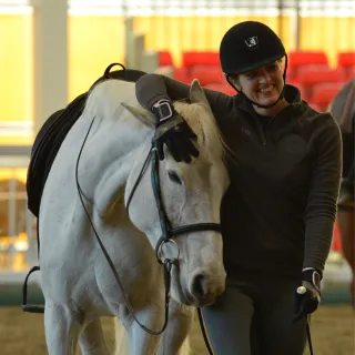 Horses & Frustration - A lesson from my horse