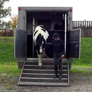 Successful Loading & Travelling, Part 4
