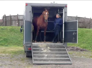 Successful Loading & Travelling, Part 2