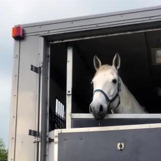Successful Loading & Travelling, Part 3