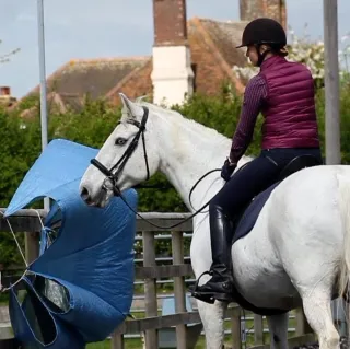 5 Steps To Being A Confident Rider