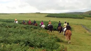 Is Your Horse Ready to Ride?