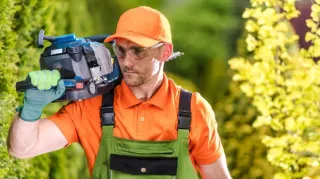 Best Time of Year to Trim, Prune Trees