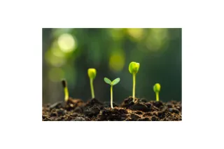 Meditation Support Groups - The Benefits