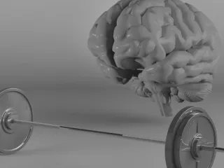 The Art of Internal Chaos: You’ve Been Brain Trained for This
