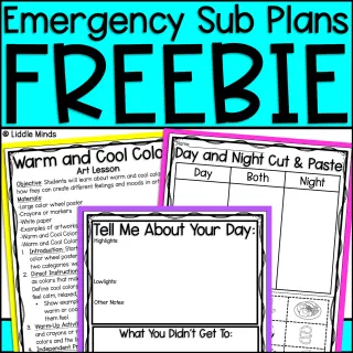 Emergency Sub Plans Freebie