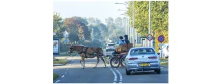 Of Buggy Whips and Gas Pedals
