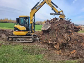 DIY vs. Pro: Why Renting a Stump Grinder Often Costs More Than You Think