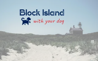 The 2025 Guide to a Dog-Friendly Day Trip on Block Island
