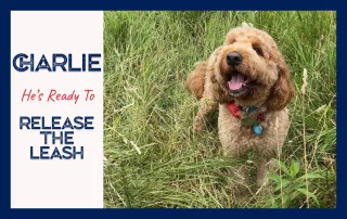 A New Leash on Life: How Campbell K9s Transformed Charlie and Sandra