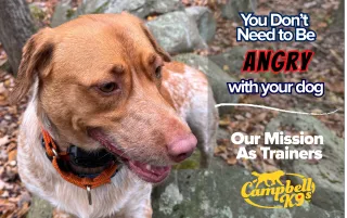 "I Stopped Being Angry at My Dog": The Real Mission of Campbell K9s