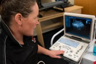 Beyond Baby Bumps: How Real-Time Ultrasound Imaging Can Boost Your Rehab