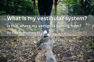 Vestibular System