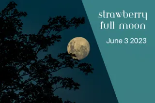 Strawberry Full Moon - June 2023
