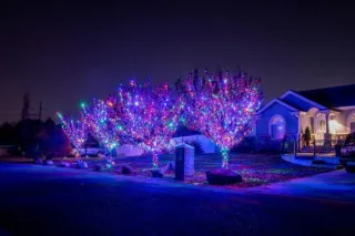 Why Professional Residential Lighting Services Matter