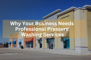 Why Your Business Needs Professional Pressure Washing Services