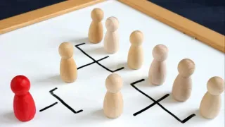 Navigating Organizational Dynamics for Professional Growth