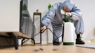 Why Do Commercial Exterminators Charge Varying Rates? Find the Truth!