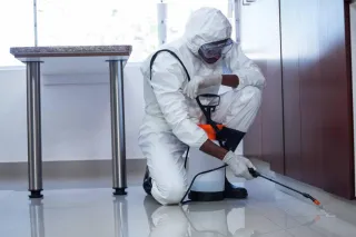 Run a Commercial Business? Do Not Miss the Importance of Pest Control