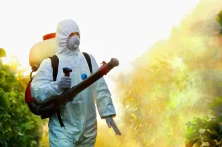 How to Maintain Your House After the Pest Control Professionals Leave