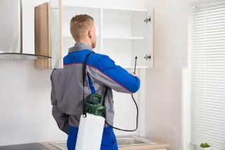 Summer Pest Control Services in Burnaby: What You Should Book Now