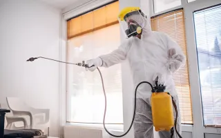 6 Factors That Determine the Pest Control Cost You Must Be Aware Of