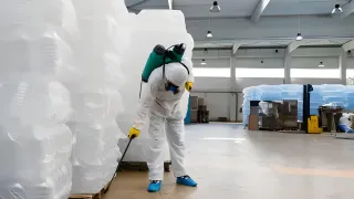 How to Keep Your House Pest-Free After Hiring Pest Control Services?