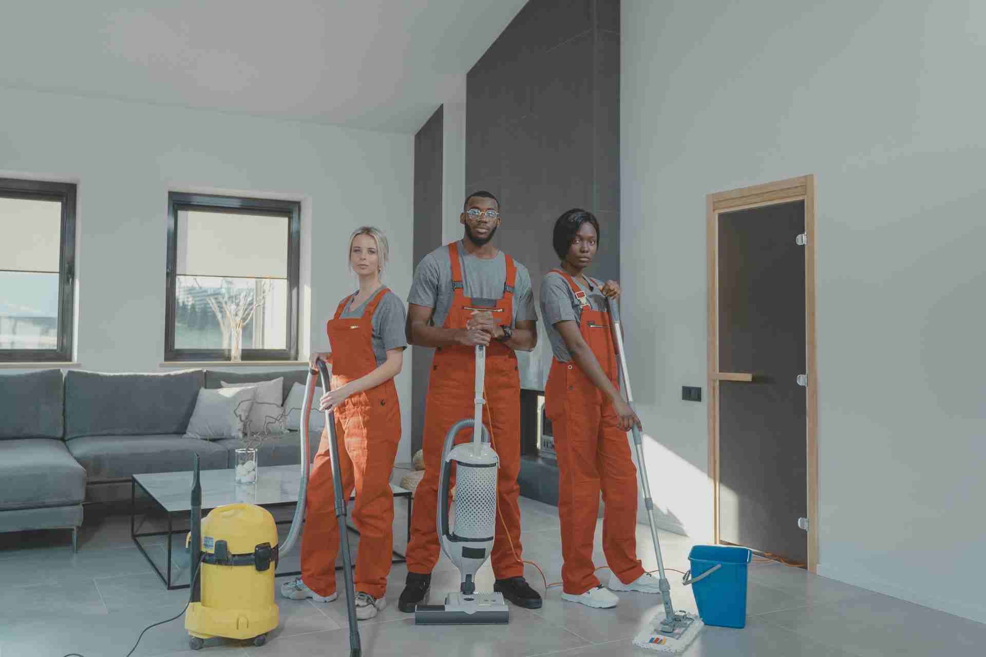 Steam Cleaner vs Carpet Cleaner