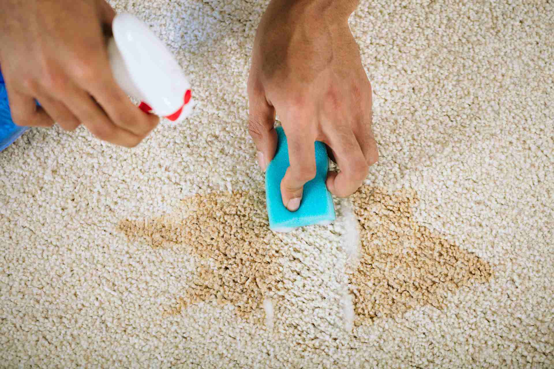 Bleach on Carpet: Risks, Steps, and Safer Alternatives