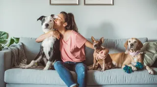 Discover the Power of Angry Orange Pet Odor Eliminator: A Citrus Solution for Stubborn Pet Smells