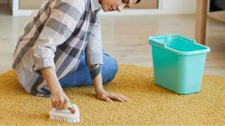 Upholstery Cleaning Services for Carol Stream Homes