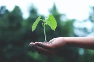 How To Shift Your Thinking To Achieve Growth